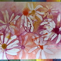 Negative painting of Daisies